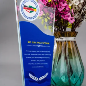 Double Wall Glass Award - Image 2