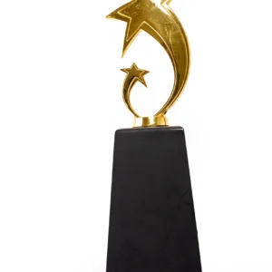 Star Top Trophy