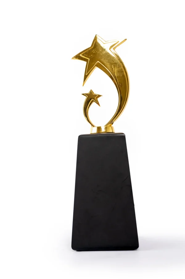 Award-2-3-scaled-1.webp