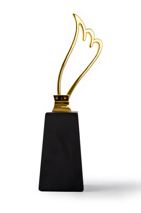 Award-2-scaled-1.webp