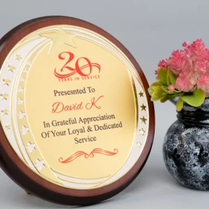 New Fancy Star Wooden Awards
