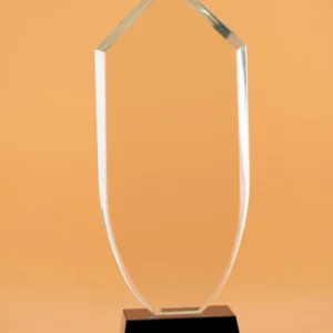 Long Glass Award - Image 2