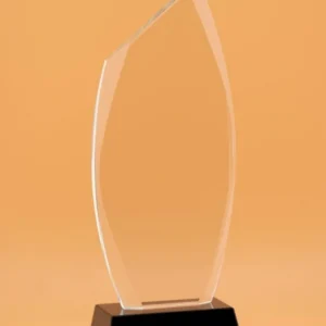 Long Glass Award - Image 4