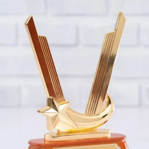 V-Shape Executive Award - Image 2