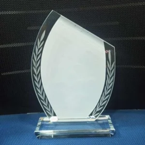 Slashed Awards