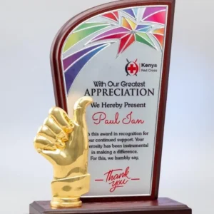 New Wooden Shield Award - Image 3