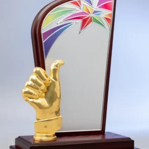 New Wooden Shield Award - Image 2