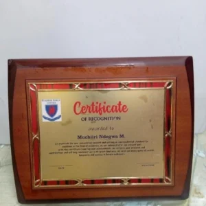 Wooden Awards for Sublimation - Image 2