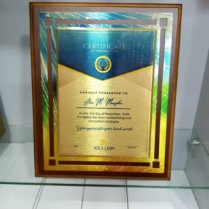 Wooden Awards for Sublimation - Image 5