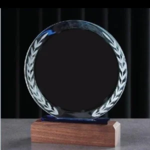 Glass and Wooden Base Awards - Image 2