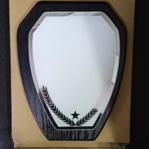 Shield Awards Collection - Image 5
