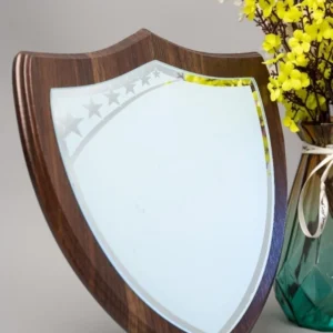 Shield Awards Collection - Image 7