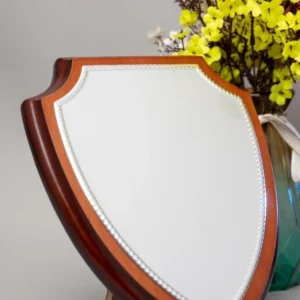 Shield Awards Collection - Image 3