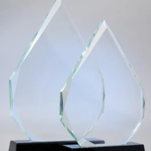 New sharp pointed glass awards
