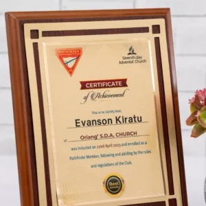 Rectangular Wooden Awards