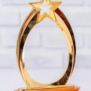 New Oval Executive Awards - Image 2