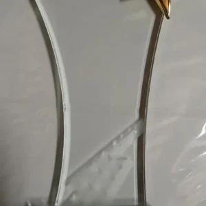 Spiral Award - Image 2