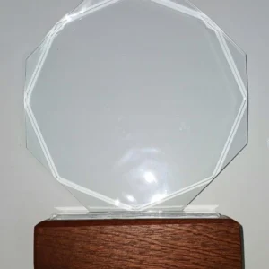 Octagon Glass Awards - Image 3