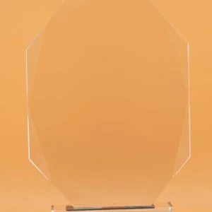 Octagon Glass Awards - Image 2