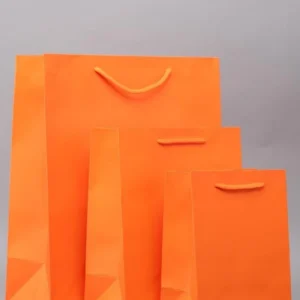 Gift Bags - Image 14
