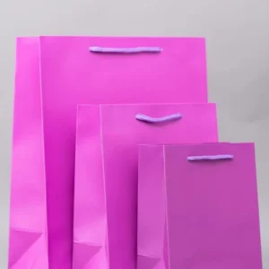 Gift Bags - Image 12