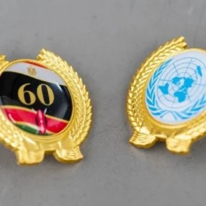 Shield Lapel Pins
