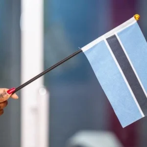 Hand Held Flags - Image 2