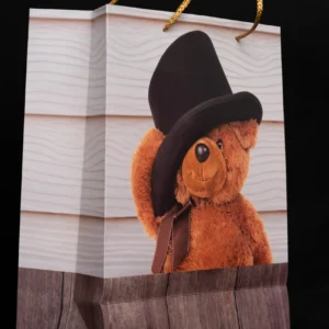 Teddy Bear Gift Bags - Image 3