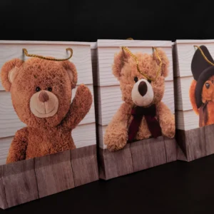 Teddy Bear Gift Bags