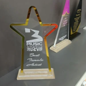 Star Shaped Acrylic Award Nairobi – Best Custom Laser Engraved by Foreverbrand 0741371516