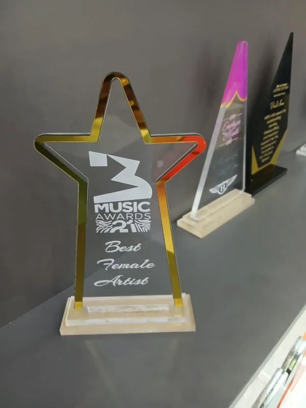 Star Shaped Acrylic Award Nairobi – Best Custom Laser Engraved by Foreverbrand 0741371516