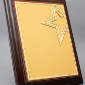 A4 Wooden Rectangular Award with Star Motif Nairobi | Call / WhatsApp 0741371516 | Foreverbrand