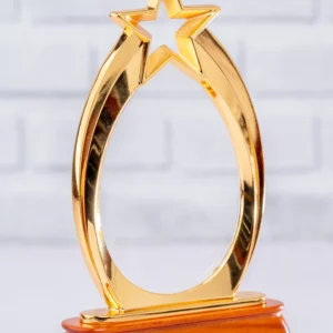 Affordable Golden Star Award Trophy Nairobi Call WhatsApp 0741371516 Foreverbrand