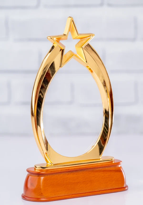 Affordable Golden Star Award Trophy Nairobi Call WhatsApp 0741371516 Foreverbrand