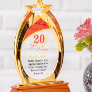 Affordable Golden Star Award Trophy Nairobi Call WhatsApp 0741371516 Foreverbrand