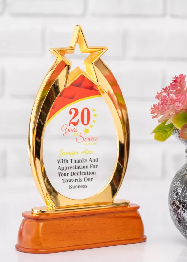 Affordable Golden Star Award Trophy Nairobi Call WhatsApp 0741371516 Foreverbrand